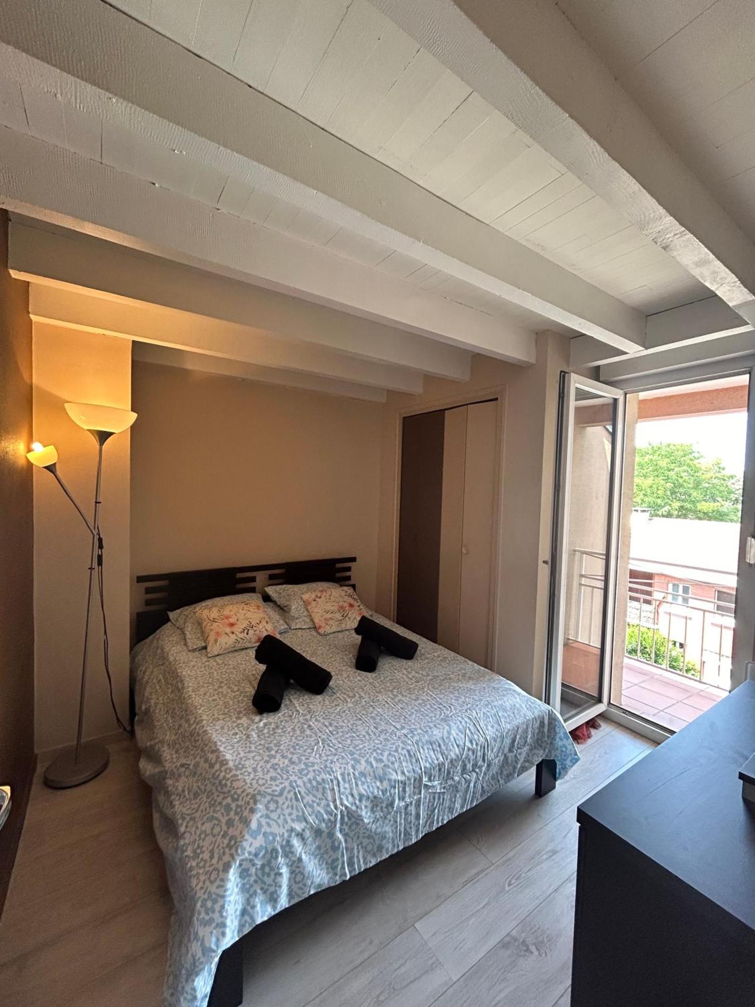 Appartement Le Venasque Avec Terrasse - Climatisation à Toulouse Extérieur photo