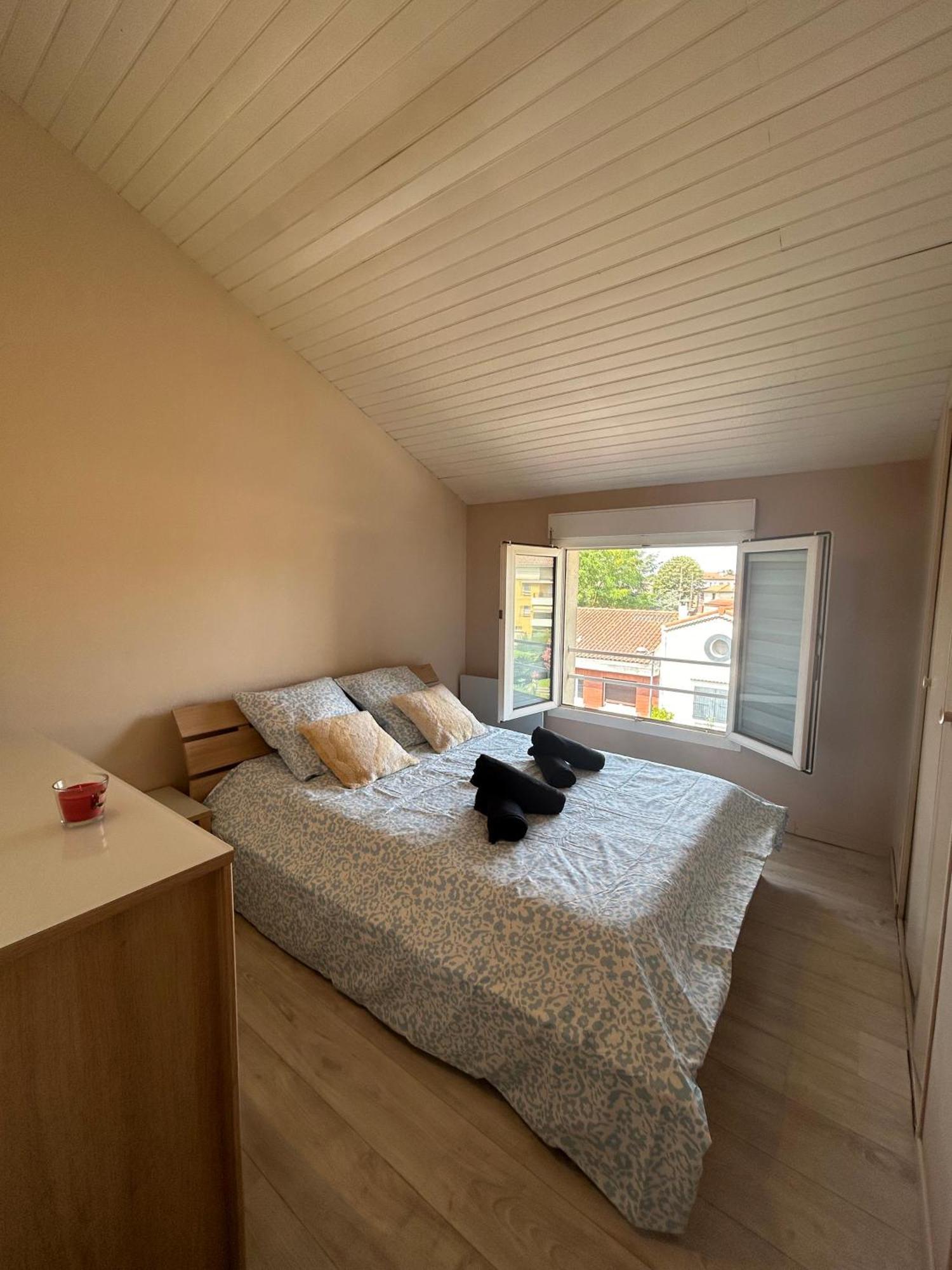 Appartement Le Venasque Avec Terrasse - Climatisation à Toulouse Extérieur photo