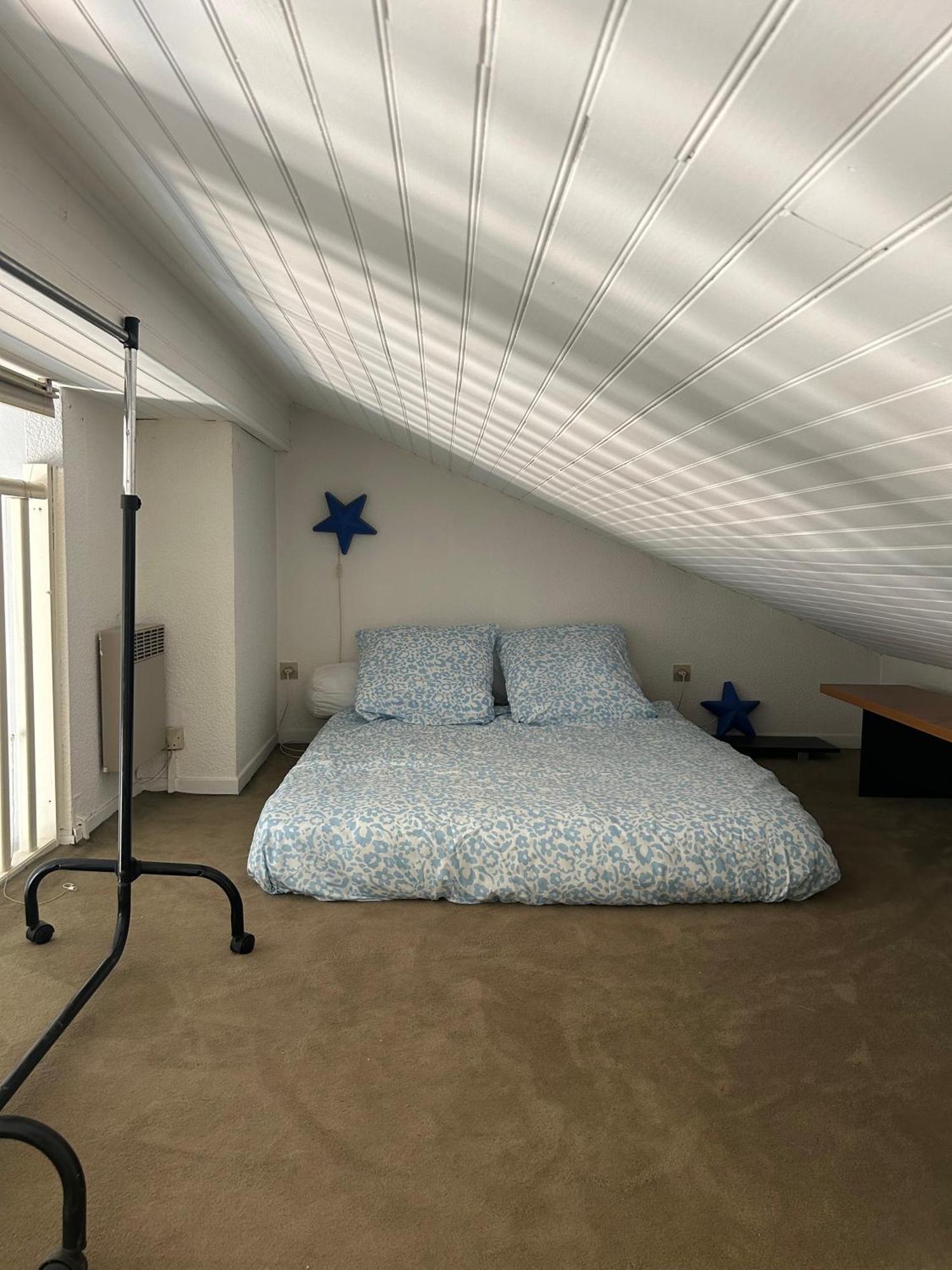 Appartement Le Venasque Avec Terrasse - Climatisation à Toulouse Extérieur photo